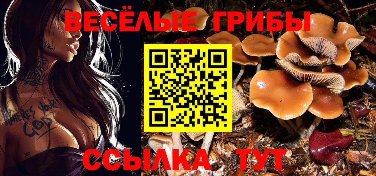 Псилоцибиновые грибы MAGIC MUSHROOMS Орехово-Зуево