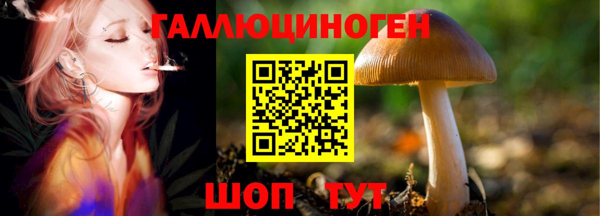 Орехово-Зуево  Псилоцибиновые грибы MAGIC MUSHROOMS  Галлюциногенные грибы Cubensis  Вход с VPN 